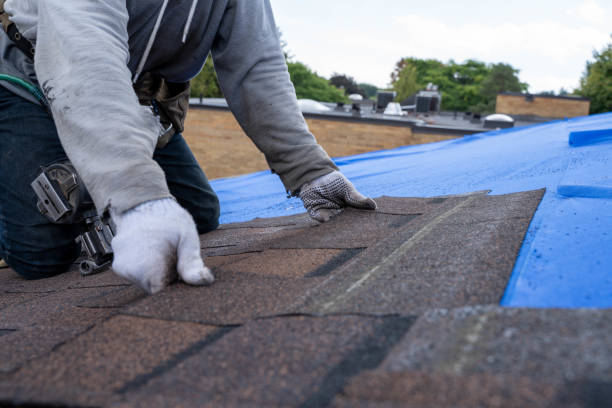 Best Storm Damage Roof Repair  in Jefferson, WI
